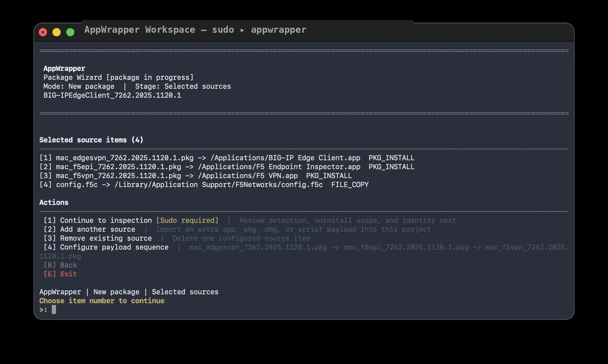 WrappCore selected source items for a multi-application package